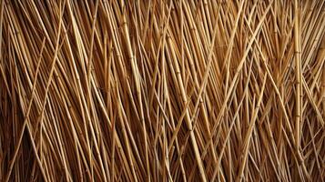 AI generated Reed texture. Wicker thatch rustic roof. Dry thin reed. AI generated photo