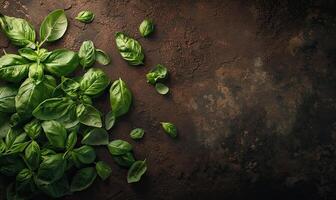 AI generated Basil on dark background. Mediterranean ingredient banner. Green herb copy space template. photo