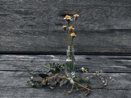 Wild flowers in the bottle vase photo