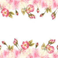selvaggio rosa anca mini cuffie, foglie, cane, cancro o brier rosa fiori sono fioritura senza soluzione di continuità confine telaio su acquerello rosa giallo macchie, spruzzi sfondo avvolgere, sfondo mano disegnato illustrazione png