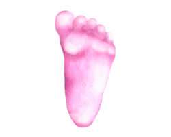 baby voetafdrukken blauw en roze voeten. waterverf illustratie hand- trek achtergrond. geslacht partij jongen of meisje, pasgeboren viering, gelukkig verjaardag. voor Gefeliciteerd, uitnodiging kaart. png