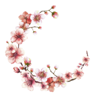 A blossoming branch from spring tree wreath, circle template. Sakura, cherry, apple or apricot buds and flowers blossoms Springtime watercolor clipart Hand drawn illustration background png