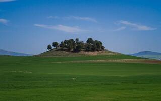 the green fields in spring season photo