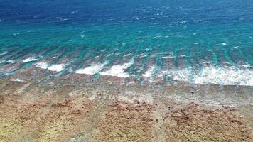 zumbido ver desde encima de el coral arrecifes y olas en el playas de el Maldivas. video