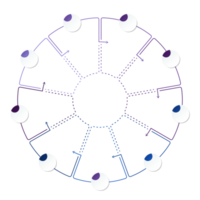 azul tom círculo infográfico com 9 passos, processo ou opções. apresentação deslizar modelo. infográfico disposição Projeto. png