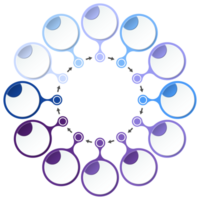 bleu Ton cercle infographie avec 12 pas, processus ou options. présentation faire glisser modèle. infographie disposition conception. png