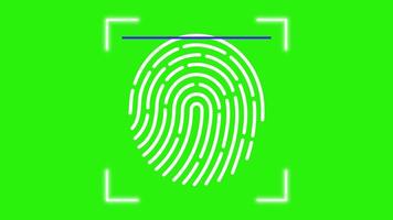 Fingerprint Scanner Animation on green background. Scanner For Fingerprint Verification. Full HD. 4K video