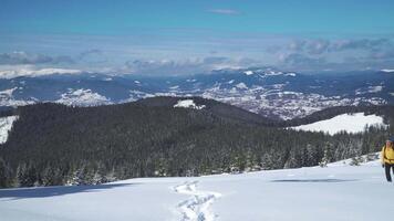 Winter sports and recreation hiking concept. Man backpacker tourist walking snow landscape. Carpathian mountain range. 4K video