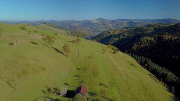 fliegend Über das Wald, Berge und ein einsam Haus. schön Natur von das Karpaten Region. 4k video
