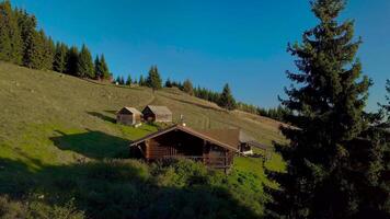 Flying over the forest, mountains and a lonely house. Beautiful nature of the Carpathian region. 4K video