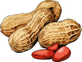 AI generated peanut illustration isolated on transparent background. png