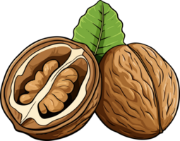 AI generated walnut  illustration isolated on transparent background. png