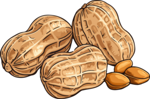 AI generated peanut illustration isolated on transparent background. png