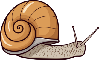 AI generated snail illustration isolated transparent background. png