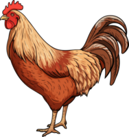 AI generated chicken illustration isolated on transparent background. png