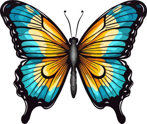 Page 2 Butterfly Heart Pngs For Free Download Page 2 Butterfly Heart Pngs For Free Download