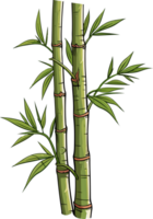 AI generated bamboo illustration isolated on transparent background. png