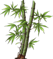AI generated bamboo illustration isolated on transparent background. png