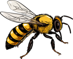 AI generated bee illustration isolated on transparent background. png