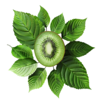 ai gegenereerd 3d renderen van vers kiwi fruit geïsoleerd Aan transparant achtergrond png