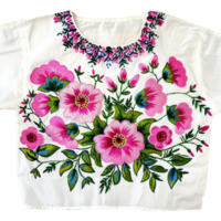 AI generated White Embroidered Mexican Peasant frock on transparent background  Generative AI png