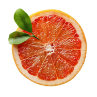 ai gegenereerd grapefruit plak png. plak van grapefruit top visie. een plak van grapefruit citrus fruit vlak leggen PNG