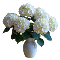 AI generated bouquet of flowers in a ceramic vase PNG. Bouquet of white Hydrangea flowers isolated. Flowers in vase PNG. Blooming flowers png