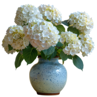 AI generated bouquet of flowers in a ceramic vase PNG. Bouquet of white Hydrangea flowers isolated. Flowers in vase PNG. Blooming flowers png