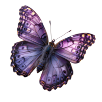 AI generated Purple butterfly PNG. Purple hairstreak butterfly. Purple butterfly top view flat lay PNG