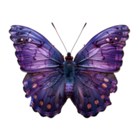 AI generated Purple butterfly PNG. Purple hairstreak butterfly. Purple butterfly top view flat lay PNG