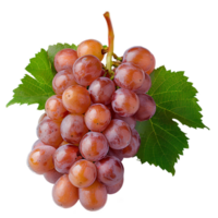 AI generated red grapes PNG. Grapes isolated. Red grapes top view. Red grapes flat lay png