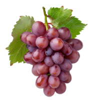 AI generated red grapes PNG. Grapes isolated. Red grapes top view. Red grapes flat lay png