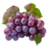 AI generated red grapes PNG. Grapes isolated. Red grapes top view. Red grapes flat lay png