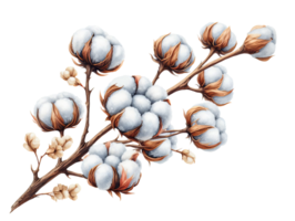 ai gerado digital ilustração do algodão flores conjunto com branco bolas do fofo plantas dentro vintage estilo. ilustração para Casamento convites, florista o negócio isolado em transparente fundo png