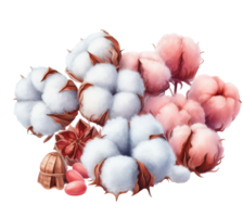 Digital illustration of cotton flowers. Set with white balls of fluffy plants in vintage style. Illustration for wedding invitations, florist business isolated on transparent background png