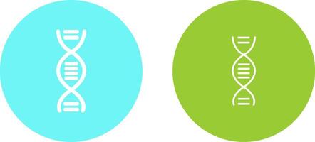 DNA Structure Vector Icon