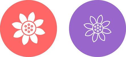 Sunflower Vector Icon