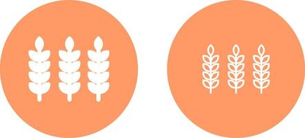 Wheat Vector Icon
