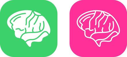 Brain Vector Icon