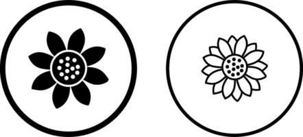 Sunflower Vector Icon