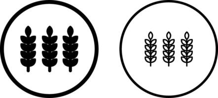 Wheat Vector Icon