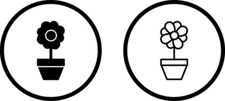 Botanical Vector Icon