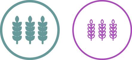 Wheat Vector Icon