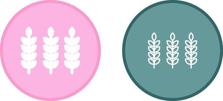 Wheat Vector Icon