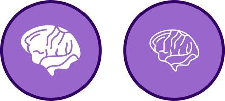 Brain Vector Icon