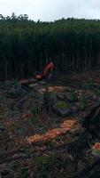 Vertikale Video von Abholzung Antenne Aussicht