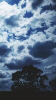 Vertical Video of Night Clouds Timelapse