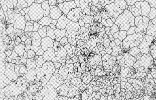 a black and white vector of a cracked  land, a black and white drawing of a cracked wall, cracked and cracked white grunge effect with a few small holes, a black and white drawing of cracked ground,