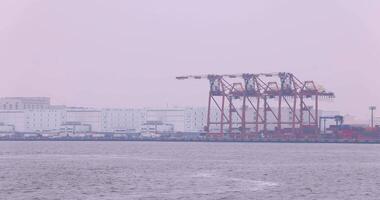 Industrial cranes near the container wharf in Tokyo cloudy day video