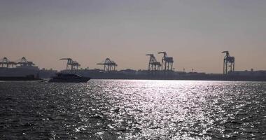 Containers and cranes near Ooi wharf port in Tokyo video